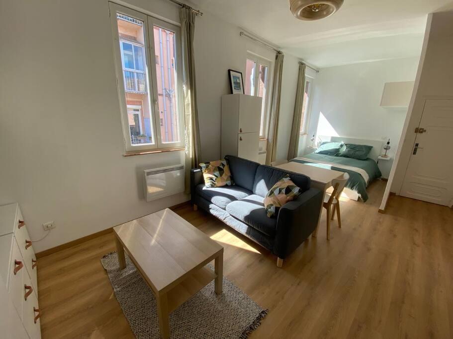 Ferienwohnung Le Petit Minimes Au Bord Du Canal Du Midi Toulouse Exterior foto